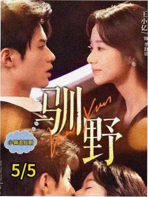 神印王座漫画职业条目占位